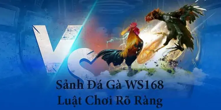 Chiến Thuật Thống Trị Cách Chơi Đá Gà WS168 Tại H3Bet Đỉnh Cao