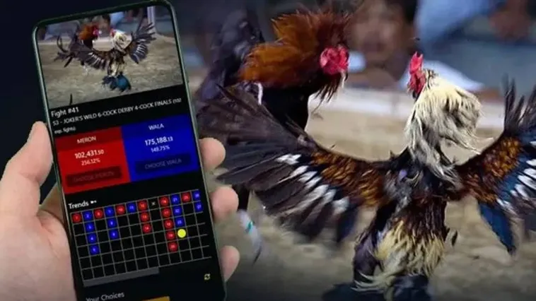 Đá Gà H3Bet Trải Nghiệm Cá Cược Đỉnh Cao Châu Á 2025