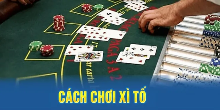 Chinh Phục Đỉnh Cao Trí Tuệ Với Trò Chơi Xì Tố Tại H3Bet Uy Tín